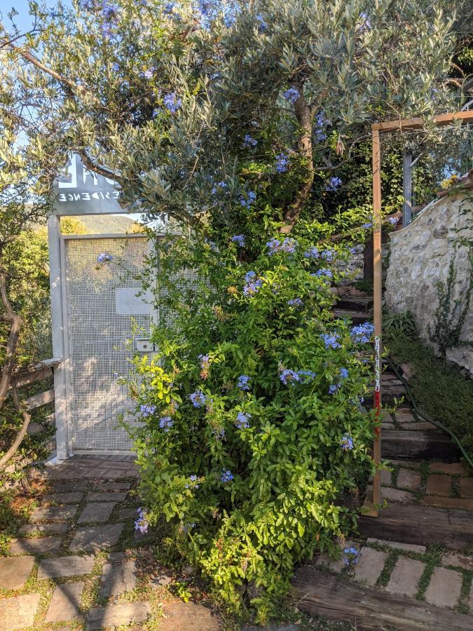 Le Rocche Valnerina Ferentillo